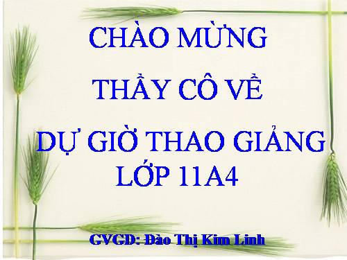 Bài 13 tiết 1 thao giảng