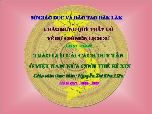 Lich su 8  TRAO LUU CAI CACH DUY TAN NUA CUOI THE KI XIX