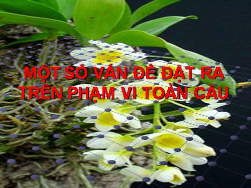 vấn đè toàn cầu