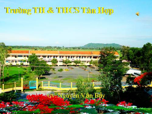 Tiết 27 Ôn tập các chương II-III-IV_V