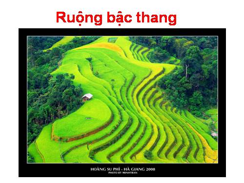 Ruong bac