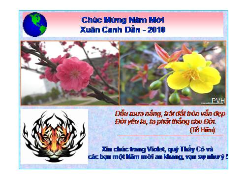 Chúc mừng Năm mới