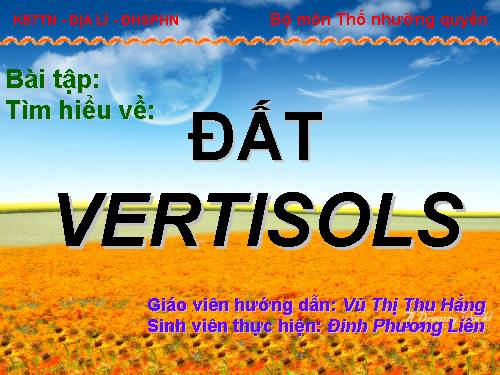 Tìm hiểu về đất Vertisols