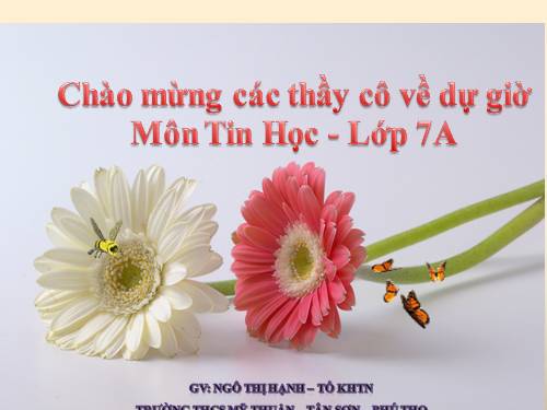 Bài 4. Sử dụng các hàm để tính toán