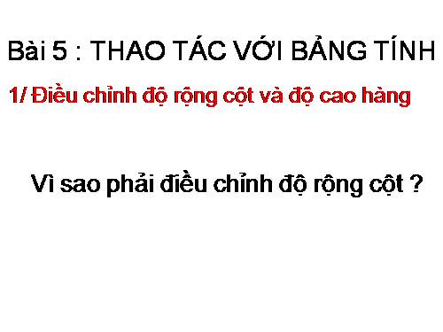 Bài 5. Thao tác với bảng tính