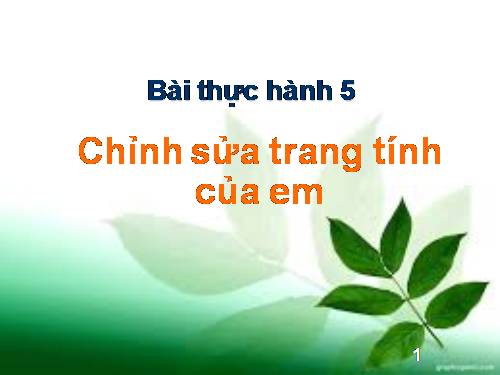 Bài thực hành 5. Chỉnh sửa trang tính của em