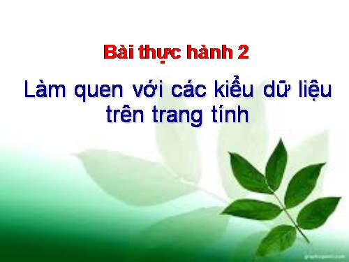 Bài thực hành 2. Làm quen với các kiểu dữ liệu trên trang tính