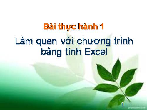 Bài thực hành 1. Làm quen với chương trình bảng tính Excel