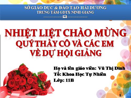 Ôn tập cuối chương trình Tin học ứng dụng A