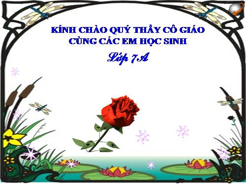 Bài 4. Sử dụng các hàm để tính toán