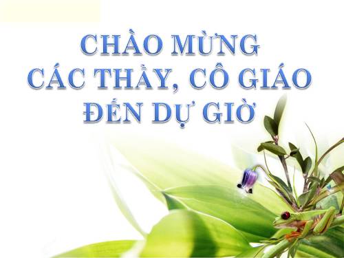 Tạo bảng_Lý thuyết