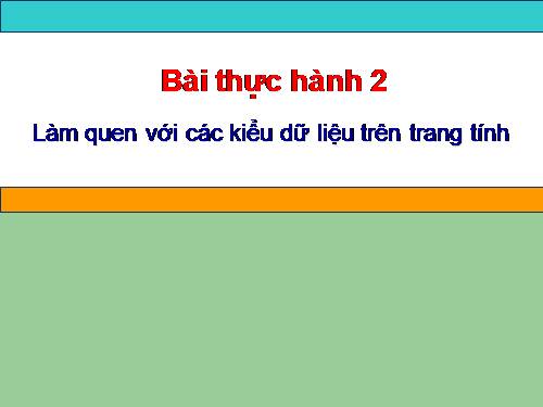 Bài thực hành 2. Làm quen với các kiểu dữ liệu trên trang tính