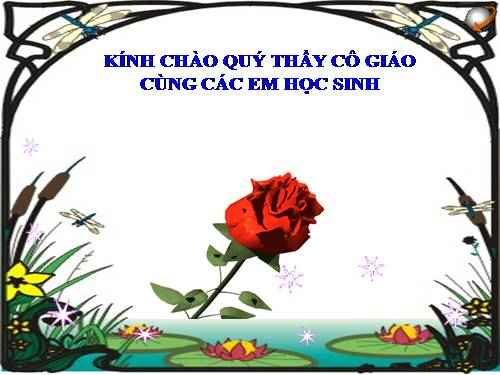 Bài 4. Sử dụng các hàm để tính toán