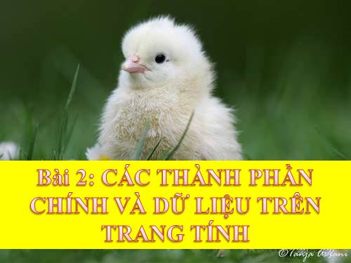 Bài 2. Các thành phần chính và dữ liệu trên trang tính