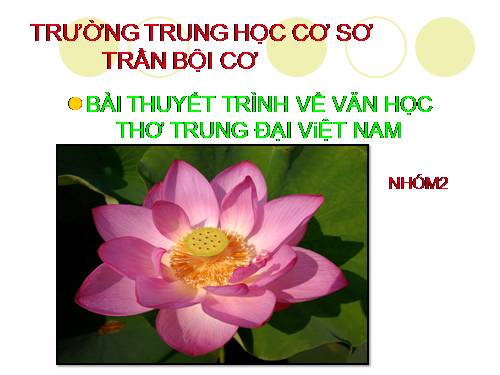 Bài thuyết trình của học sinh Trần Bội Cơ - Q5 (4)