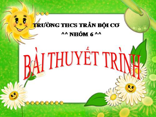 Bài thuyết trình của học sinh Trần Bội Cơ - Q5 (3)