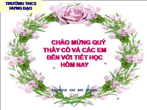 Bài 5. Thao tác với bảng tính