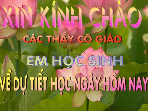 Bài đọc thêm 3. Học Toán với Toolkit Math
