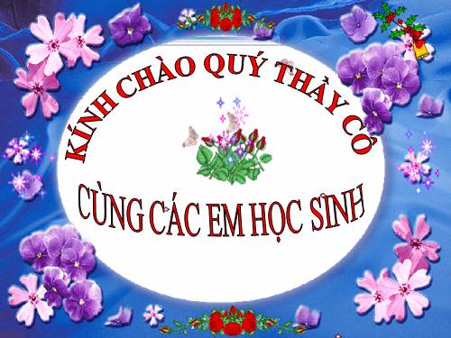 Bài 5. Thao tác với bảng tính