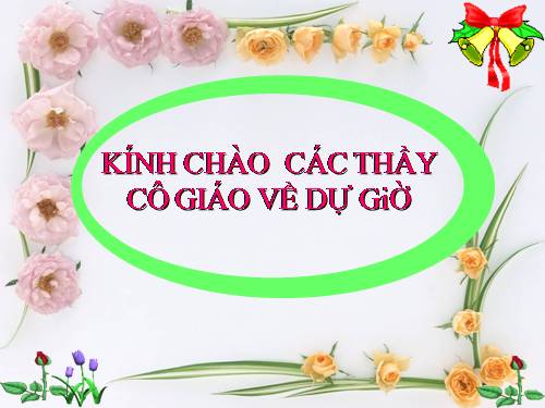 Bài 5. Thao tác với bảng tính