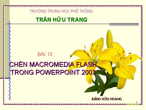 Bai13_Chen MacroMedia Flash trong PP 2003