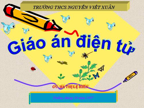 Bài thực hành 2. Làm quen với các kiểu dữ liệu trên trang tính
