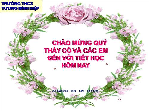 Bài 5. Thao tác với bảng tính