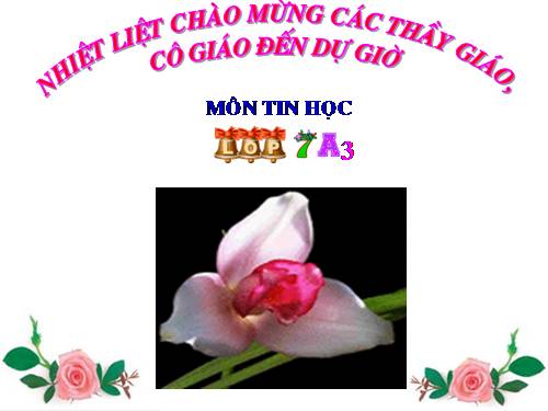 Bài 9. Trình bày dữ liệu bằng biểu đồ