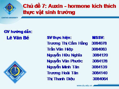 AUXIN CHẤT ĐIỀU HÒA SINH TRƯỞNG