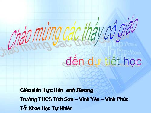 Bài 3. Thực hiện tính toán trên trang tính