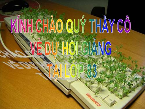 Bài 4. Sử dụng các hàm để tính toán