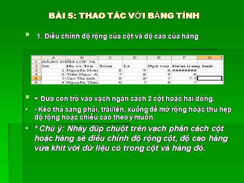 Bài 5. Thao tác với bảng tính