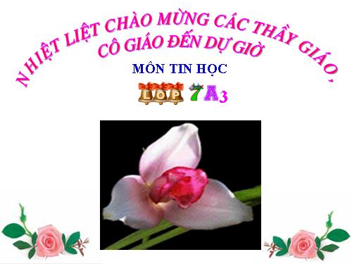 Bài 9. Trình bày dữ liệu bằng biểu đồ