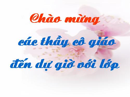 Bài 4. Sử dụng các hàm để tính toán