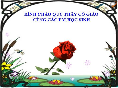 Bài 4. Sử dụng các hàm để tính toán