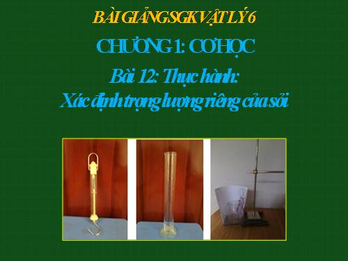 Bài 12. Thực hành: Xác định khối lượng riêng của sỏi