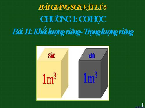 Bài 11. Khối lượng riêng - Trọng lượng riêng