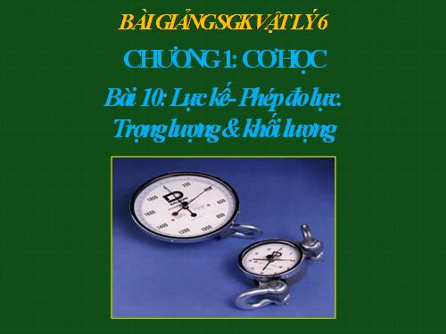 Bài 10. Lực kế - Phép đo lực - Trọng lượng và khối lượng