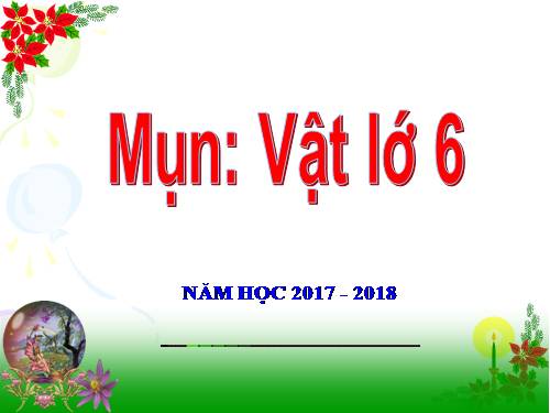 Bài 10. Lực kế - Phép đo lực - Trọng lượng và khối lượng