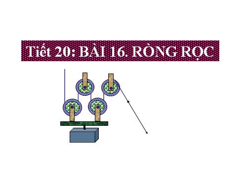 Bài 16. Ròng rọc