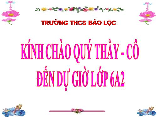 Bài 12. Thực hành: Xác định khối lượng riêng của sỏi