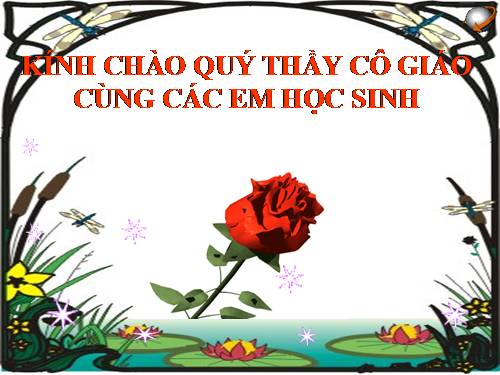 Bài 22. Nhiệt kế - Nhiệt giai