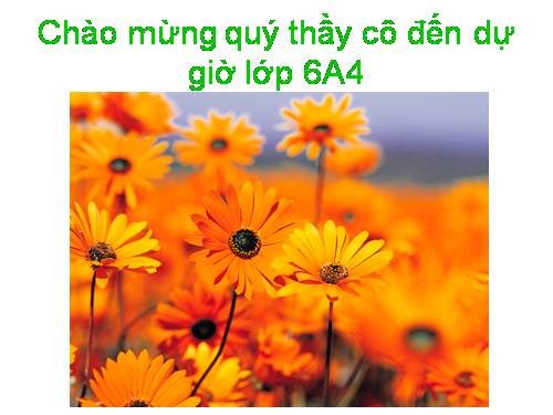 Bài 24. Sự nóng chảy và sự đông đặc