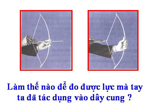 Bài 10. Lực kế - Phép đo lực - Trọng lượng và khối lượng