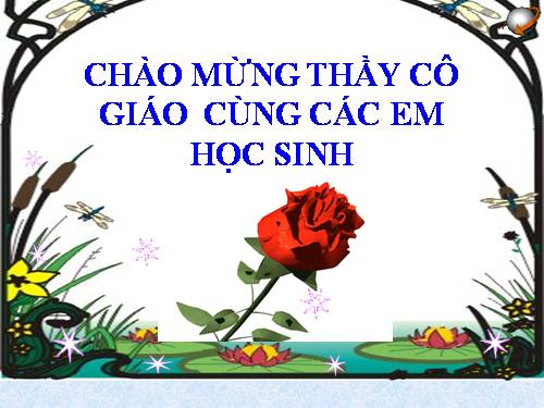Bài 22. Nhiệt kế - Nhiệt giai