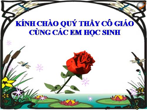 Bài 22. Nhiệt kế - Nhiệt giai