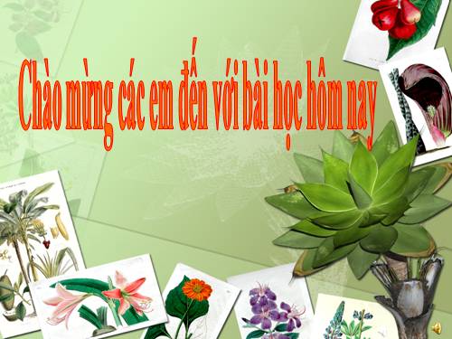 Bài 20. Sự nở vì nhiệt của chất khí
