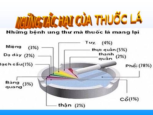 Phòng chống thuốc lá