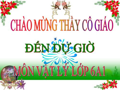 Bài 8. Trọng lực - Đơn vị lực