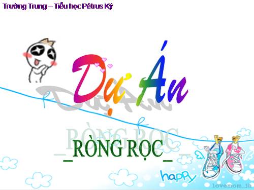 Bài 16. Ròng rọc